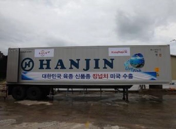 The First Living King Halibuts Export to the U.S.