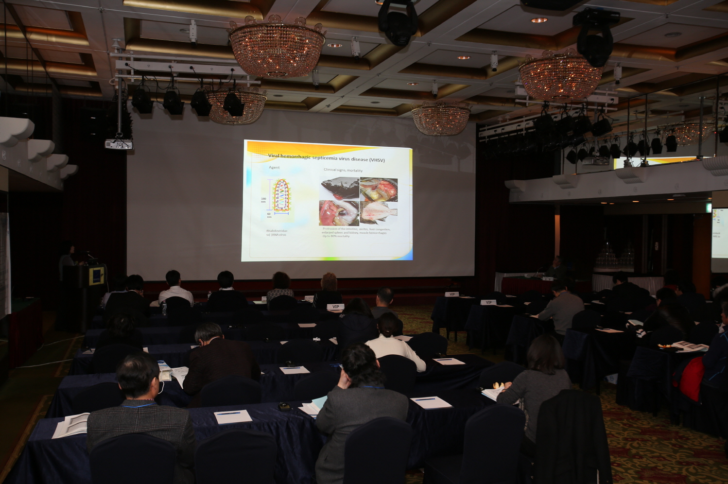 International Workshop of Aquatic Animal Vaccine