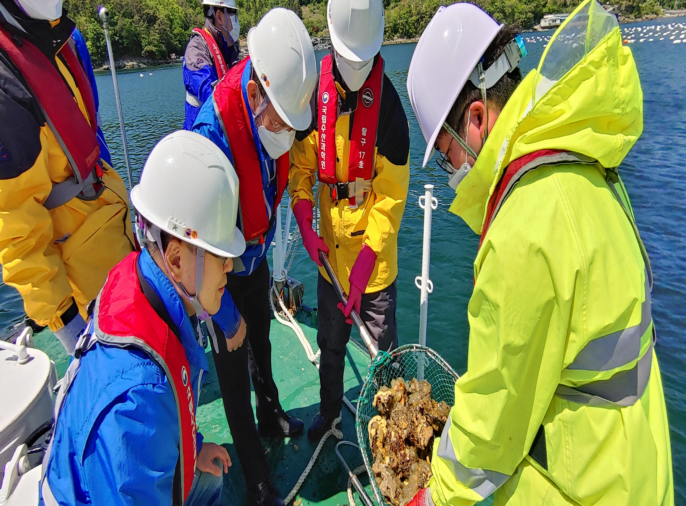 Checking on coastal area where Paralytic Shellfish Toxin occurs.