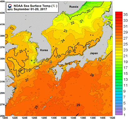 묶음 개체입니다.