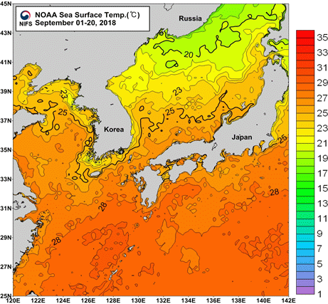 묶음 개체입니다.