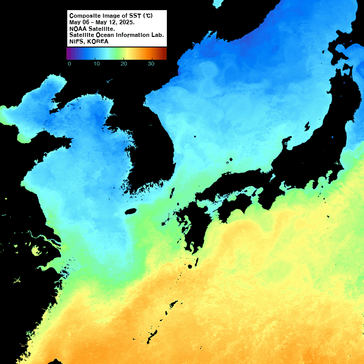 Composite Image of SST(℃) Sep.10 - Sep. 16, 2024. NoAA Satellite. Satellite Ocean Information Lab. NIFS, KOREA